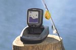 Humminbird Smartcast RF15